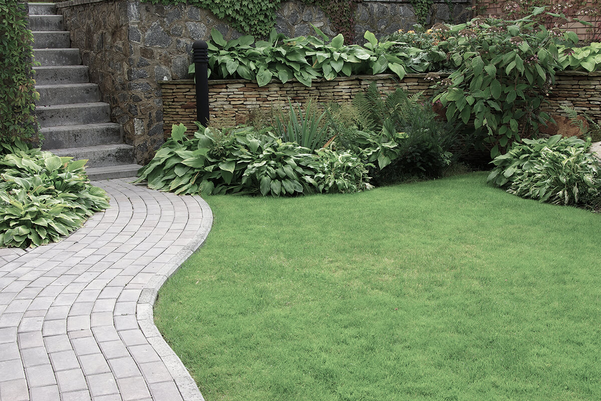 Welcome to Pinnacle Landscaping